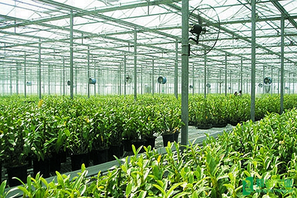 浙江海寧森禾種業溫室環境智能控制系統 - 邦伯農業 - .