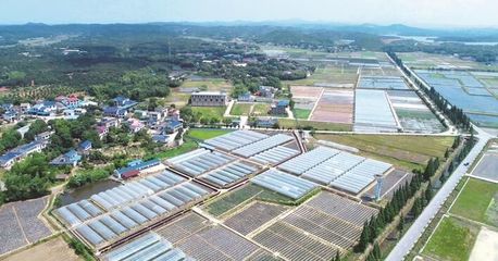 長沙縣啟動第一批種業小鎮建設 助力現代農業發展