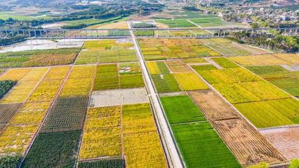 種業(yè)振興 筑牢大國糧倉的基石